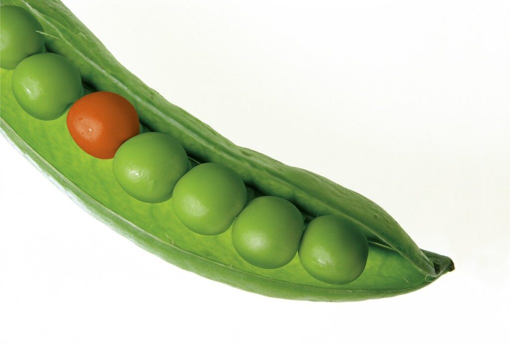 赤い豆が「outlier」です。緑の中で、一つだけ赤で異質です。この赤い豆の存在を持って豆は赤いとも言えません。