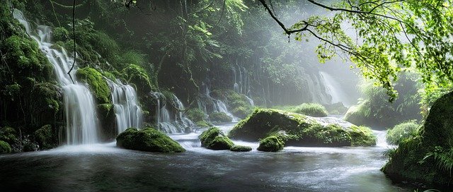an image of nature in japan