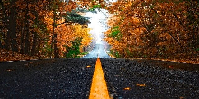 秋の道とのイメージ