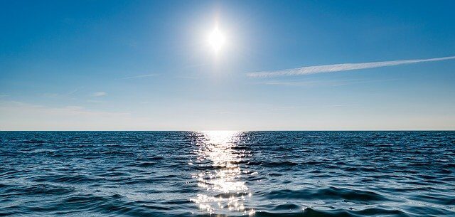 トビウオの世界に感じる海と太陽