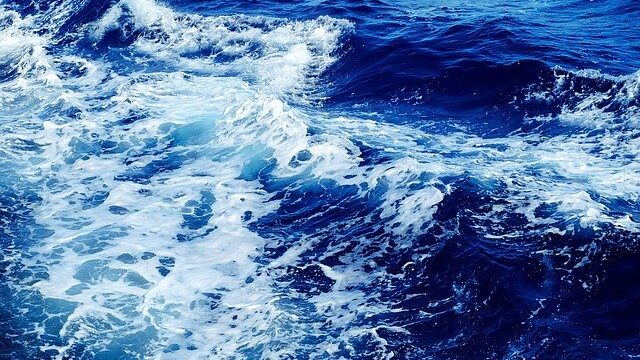 トビウオに感じる海と荒波のイメージ