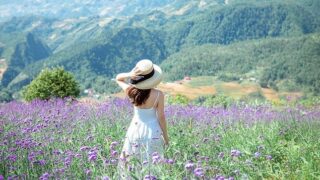「優しいあの子」のイメージ